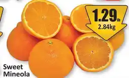 Starsky Sweet Mineola Oranges offer