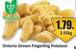 Starsky Ontario Grown Fingerling Potatoes offer