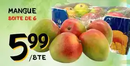 Marche Salaberry MANGUE offer