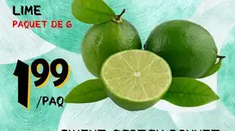 Marche Salaberry LIME offer