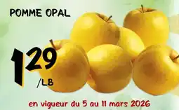 Marche Salaberry POMME OPAL offer