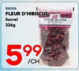 Marche Salaberry BADIA FLEUR D'HIBISCUS offer