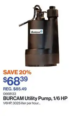 Patrick Morin Utility Pump, 1/6 HP offer