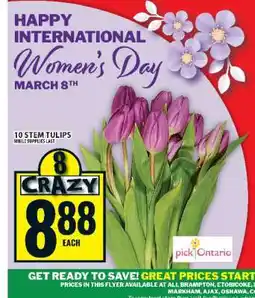 Food Basics 10 STEM TULIPS offer