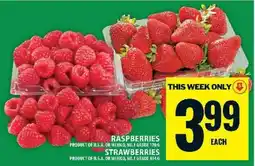 Food Basics Raspberries and Strawberries offer