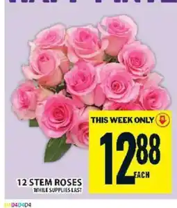 Food Basics 12 Stem Roses offer