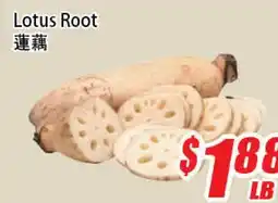 WinCo Food Mart Lotus Root offer
