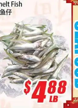 WinCo Food Mart Capelin Melt Fish offer