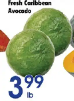 Danforth Food Market Fresh Caribbean Avocado offer