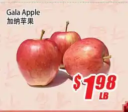 WinCo Food Mart Gala Apple offer