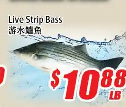 WinCo Food Mart Live Strip Bass offer