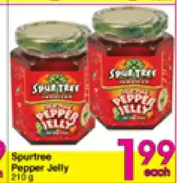 Danforth Food Market Spurtree Pepper Jelly offer