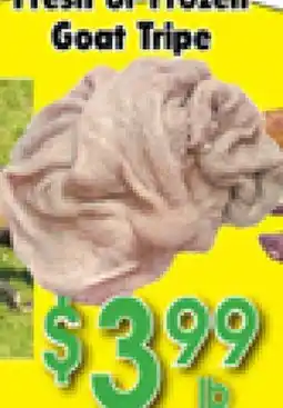 Danforth Food Market Fresh or Frozen Goat Tripe offer
