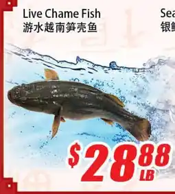 WinCo Food Mart Live Chame Fish offer