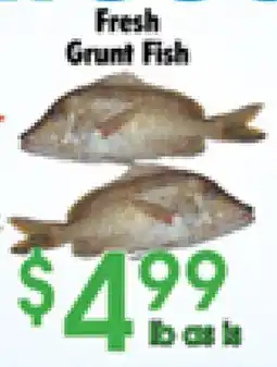 Danforth Food Market Fresh Grunt Fish offer
