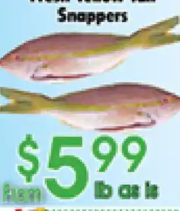 Danforth Food Market Fresh Tail to Tail Snappers offer