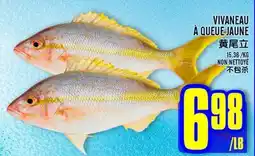 Marché Lian Tai VIVANEAU À QUEUE JAUNE offer