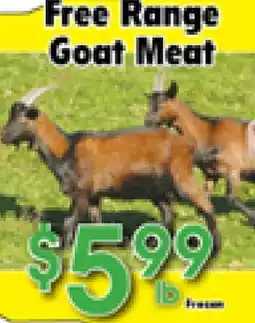Danforth Food Market Free Range Goat Meat offer