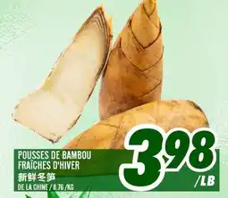 Marché Lian Tai POUSSES DE BAMBOU FRAÎCHES D'HIVER offer