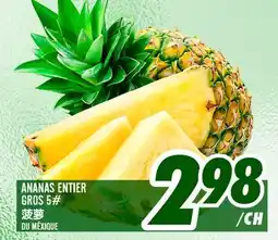 Marché Lian Tai ANANAS ENTIER GROS 5 offer