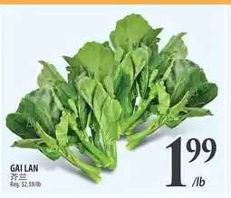 Al Premium Food Mart GAI LAN offer