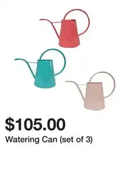 TSC Stores Watering Can (set of 3) offer
