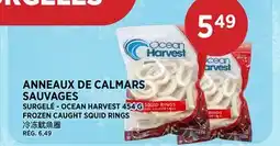 Kim Phat OCEAN HARVEST FROZEN CAUGHT SQUID RINGS offer
