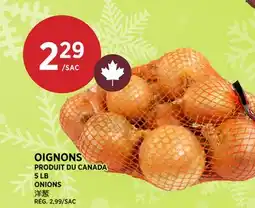 Kim Phat ONIONS offer