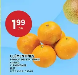 Kim Phat CLEMENTINES offer