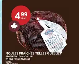 Kim Phat WHOLE FRESH MUSSELS offer