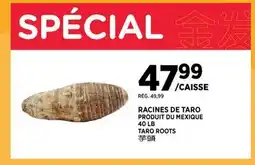 Kim Phat TARO ROOTS offer