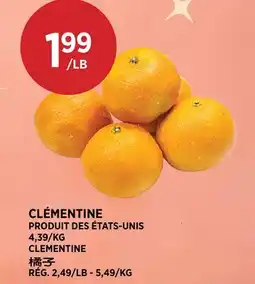 Kim Phat CLEMENTINE offer