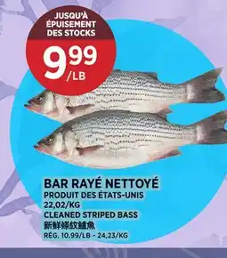 Kim Phat CLEANED STRIPED BASS offer