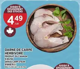 Kim Phat GRASS CARP STEAK offer