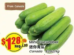 Btrust Supermarket Mini Cucumber offer