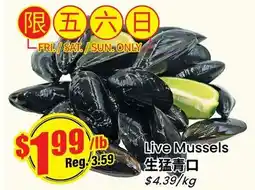 Btrust Supermarket Live Mussels offer
