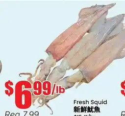 Btrust Supermarket Fresh Squid offer