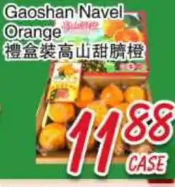 Foody Mart Gaoshan Navel Orange offer