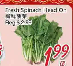 Foody Mart Fresh Spinach Head On offer