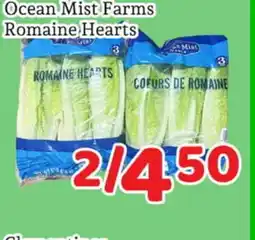 Fresh Value Ocean Mist Farms Romaine Hearts offer