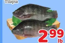 Fresh Value Tilapia offer