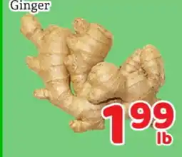 Fresh Value Ginger offer