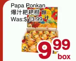 First Choice Supermarket Papa Ponkan offer
