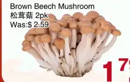 First Choice Supermarket Brown Beech Mushroom offer