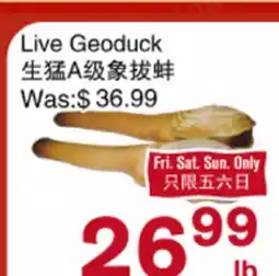 First Choice Supermarket Live Geoduck offer