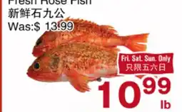 First Choice Supermarket Fresh Rose Fish offer