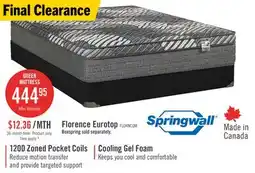 The Brick Springwall Florence Eurotop Medium Queen Mattress offer