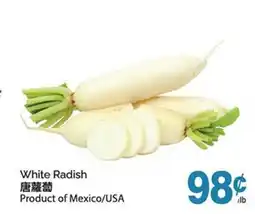 T&T Supermarket WHITE RADISH offer