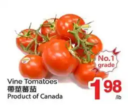 T&T Supermarket VINE TOMATOES offer