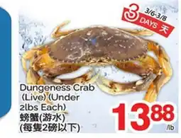 T&T Supermarket DUNGENESS CRAB offer